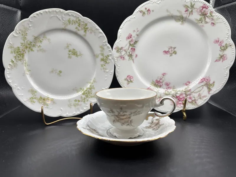 Johann Haviland Bavaria Porcelain - Tea & Plate Set - Designer Decor and Other Treasures | Ocean Bid Auction