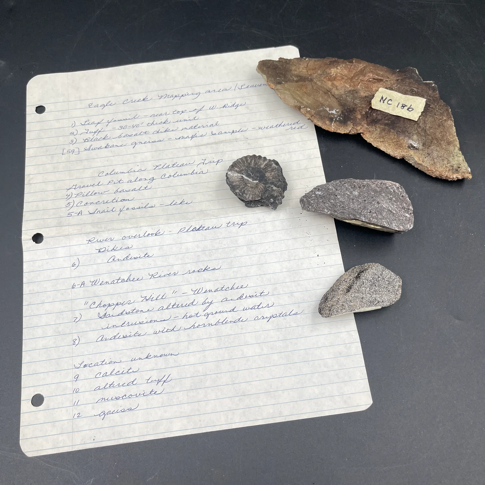 Geologist’s Field Trip Rock & Fossil Specimens - Sterling Silver, Stones & Seattle History Estate Auction and 0% buyers premium! | Ocean Bid Auction