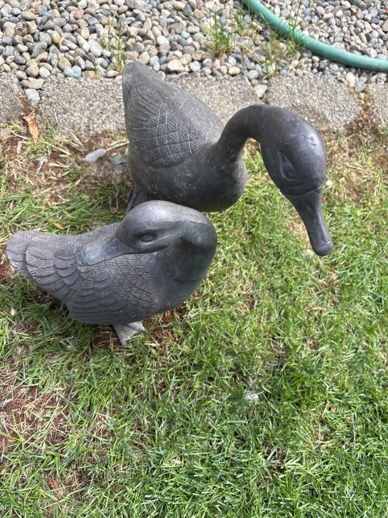 Pair of Cast Iron Duck Garden Ornaments - Newcastle Estate Collection - STERLING SILVER, GOLD TEETH, Antiques & Collectibles | Ocean Bid Auction