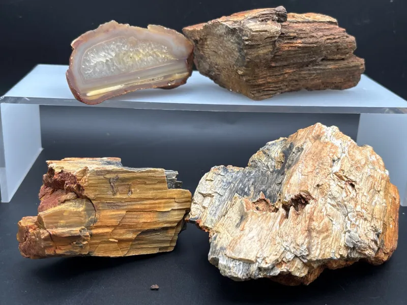 🪨 Petrified Wood & Agate Slice Lot – Natural Fossil Décor - Collector’s Dream Auction – Lladro, Murano, Coastal Decor-Anacortes and Sequim pick-ups | Ocean Bid Auction