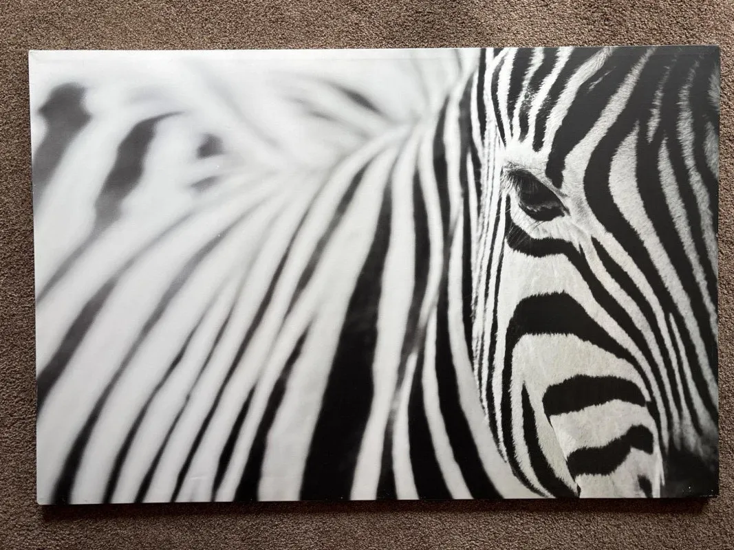 IKEA PJÄTTERYD Zebra Canvas Wall Art 30¾" x 46½" - Anacortes Estate Auction – Sterling Silver, Jewelry & Incredible Finds | Ocean Bid Auction