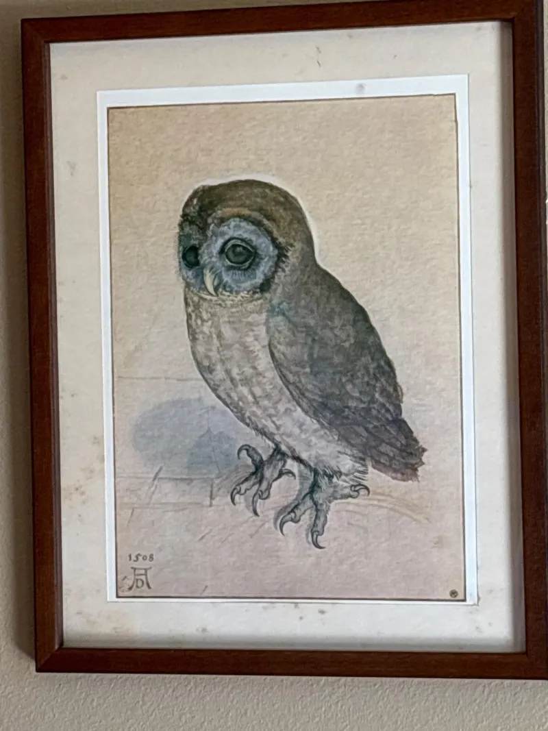 Framed Owl Wildlife Print Signed & Numbered 1508 Nature Wall Art - Anacortes Estate Auction – Sterling Silver, Jewelry & Incredible Finds | Ocean Bid Auction
