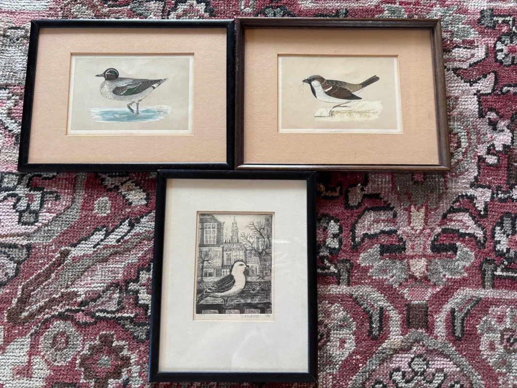 1850 Hand-Colored British Bird Prints & Vintage Framed Art Trio - Anacortes Estate Auction – Sterling Silver, Jewelry & Incredible Finds | Ocean Bid Auction