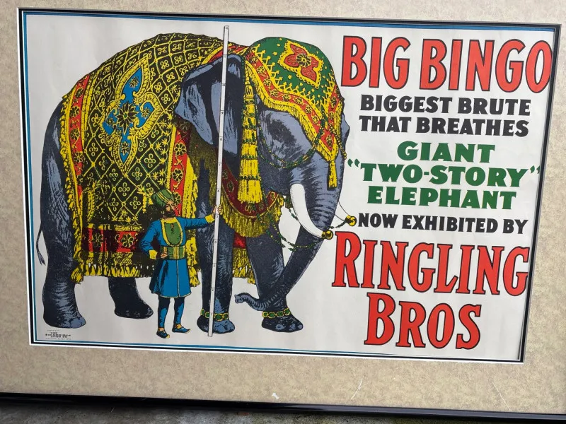 Ringling Bros Big Bingo Elephant Circus Poster Framed - Spring Treasure Auction – Vintage Finds & New-In-Box Surprises. | Ocean Bid Auction