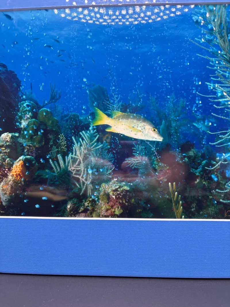 Signed Reef Photo “The Aquarium” Kelley Scarzafava 11.5x16 - Spring Treasure Auction – Vintage Finds & New-In-Box Surprises. | Ocean Bid Auction