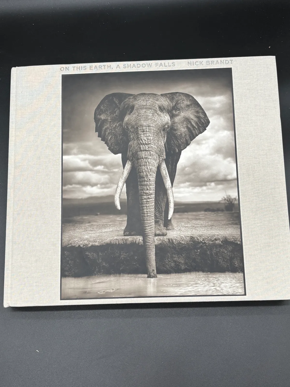 Nick Brandt A Shadow Falls Hardcover Photography Book
